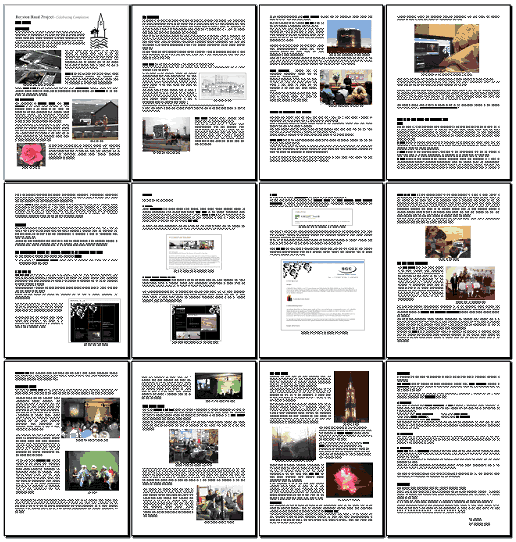 the document layout